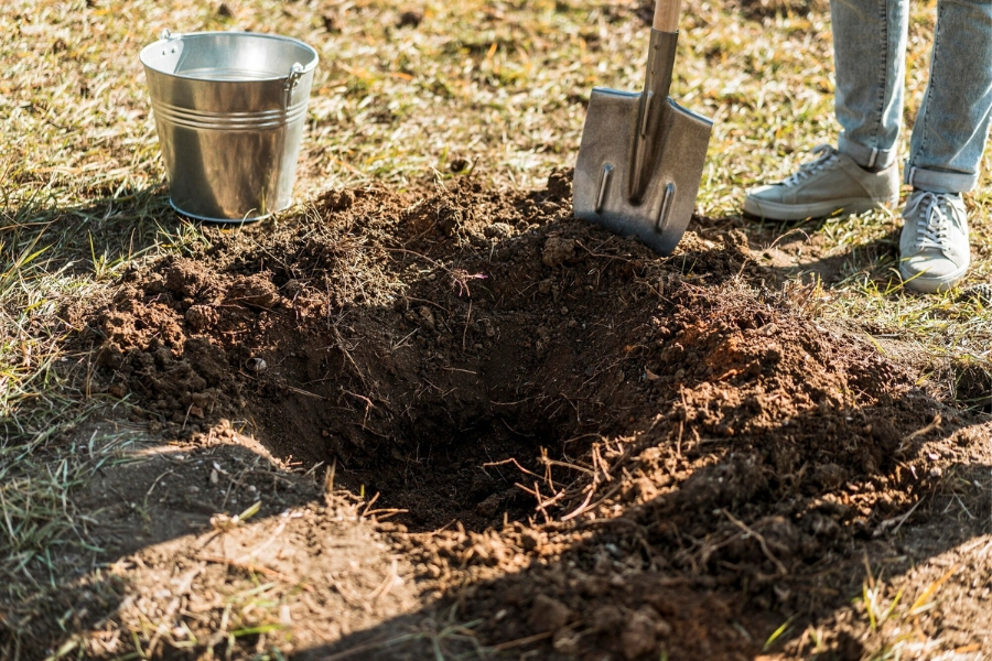 Soil Removal in Carthage, TX